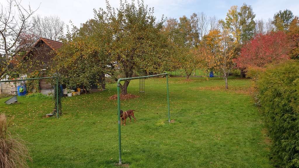 Immobilie in Allershausen - Wohnhaus mit optionalem Erwerb eines direkt angrenzenden Freizeitgrundstückes - Bild 4