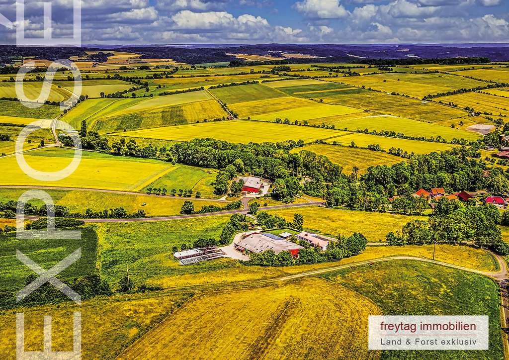Immobilie in Ringgau - Zertifizierter Biolandbetrieb - Paradies für Mensch und Tier - Bild 2