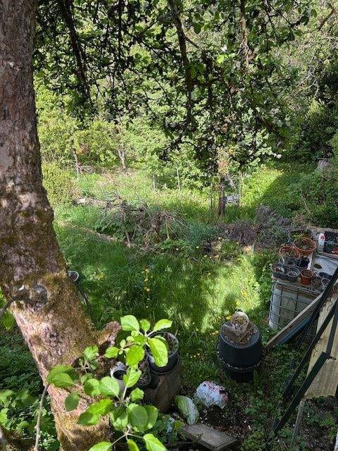Immobilie in Frankenblick - Attraktives Einfamilienhaus in ruhiger, ländlicher Lage von Mengersgereuth-Hämmern - Bild 4