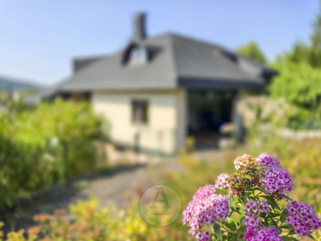 Immobilie in Schlüchtern - Exklusives Anwesen mit Parkgrundstück – großzügig & energieeffizient - Bild 0