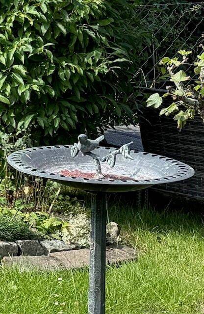 Immobilie in Schmölln-Putzkau - Freuen Sie sich auf den Frühling! - Attraktives Reihenhaus mit kleinem Garten - Bild 0