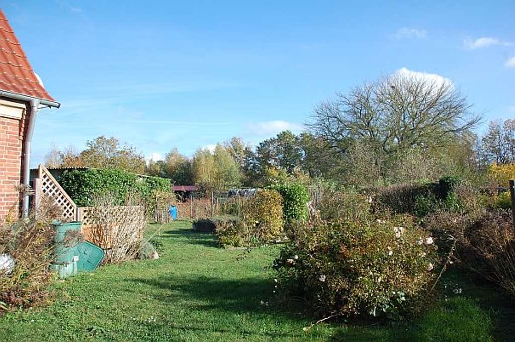 Immobilie in Rechlin - Das Haus im Garten - Bild 3