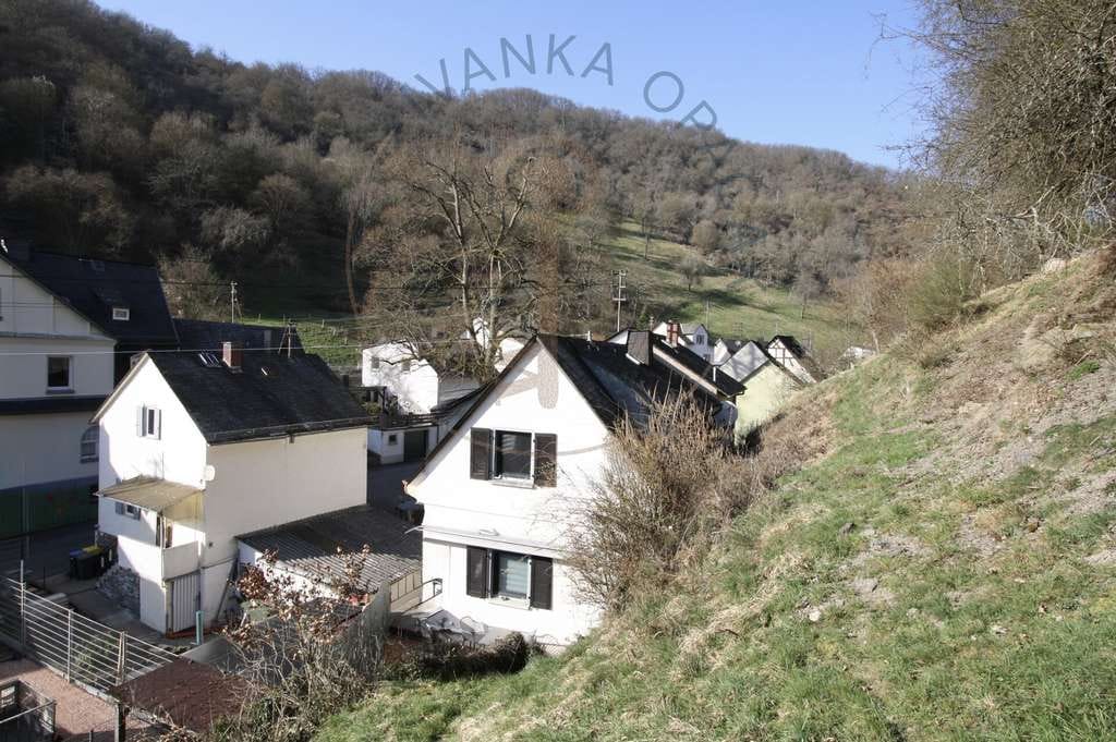 Immobilie in Sauerthal - ***Idylle statt Alltag!...Doppelhaushälfte mit Burgblick in Sauerthal - Bild 3