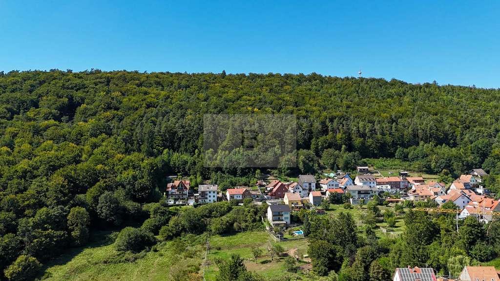 Immobilie in Esthal - Idylle auf dem Land - Grün. Stilvoll. Familiär. - Bild 1