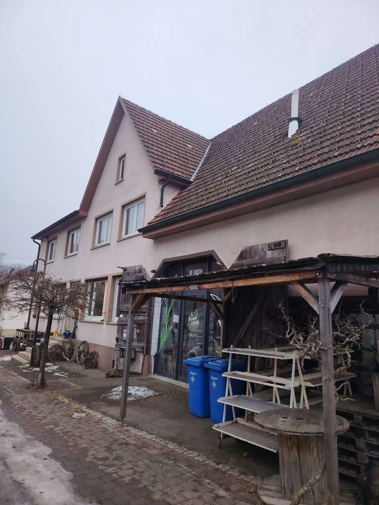 Immobilie in Meßstetten - Historisches Raumwunder mit Herz: Ehemaliger Gasthof & Blumen-Atelier mit traumhaftem Garten - Bild 0