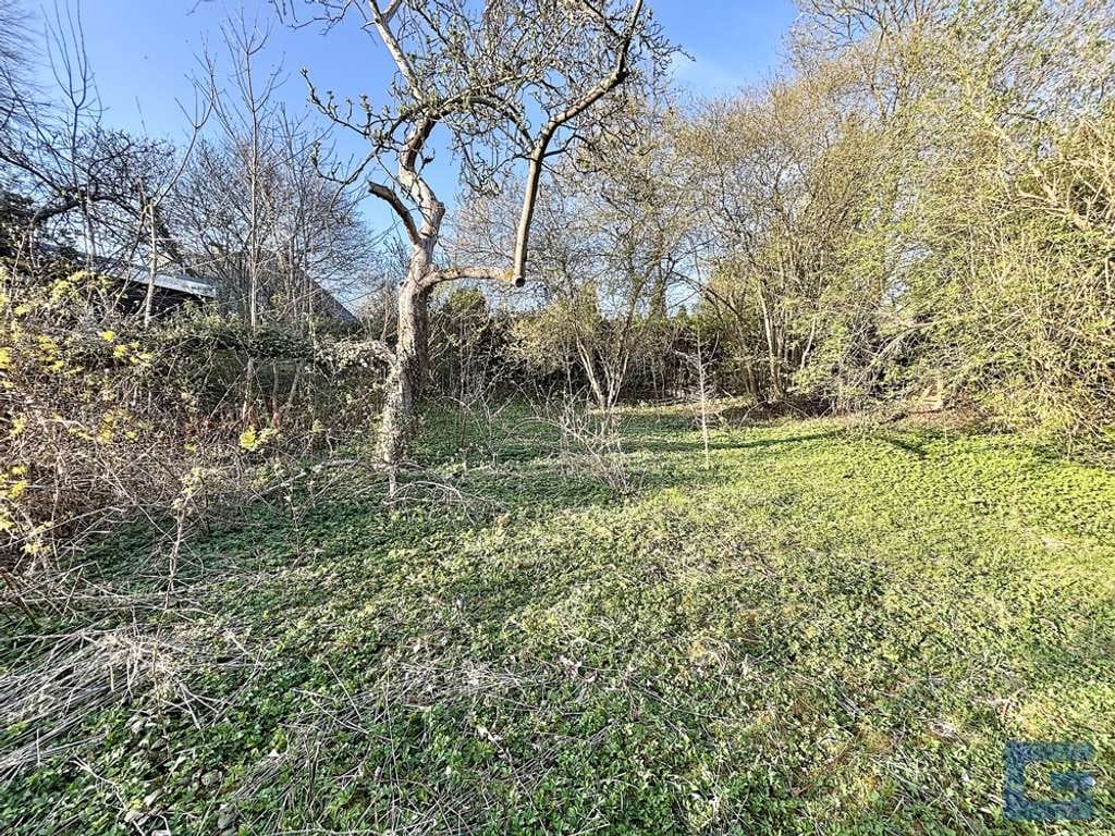 Immobilie in Molfsee - Natur pur trifft Neubauvision! – Großes Grundstück mit Abrisshaus! - Molfsee - Bild 3