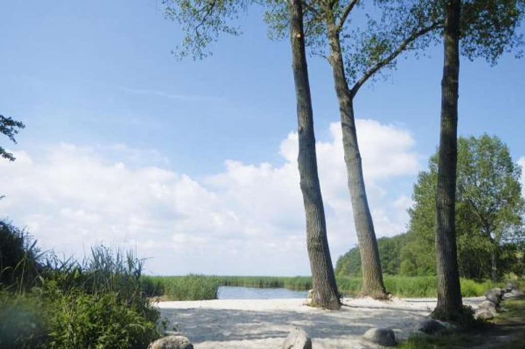 Immobilie in Zirchow - Schönes Reetdach-Ferienhaus mit Haffblick in gehobener Innenausstattung - Bild 4