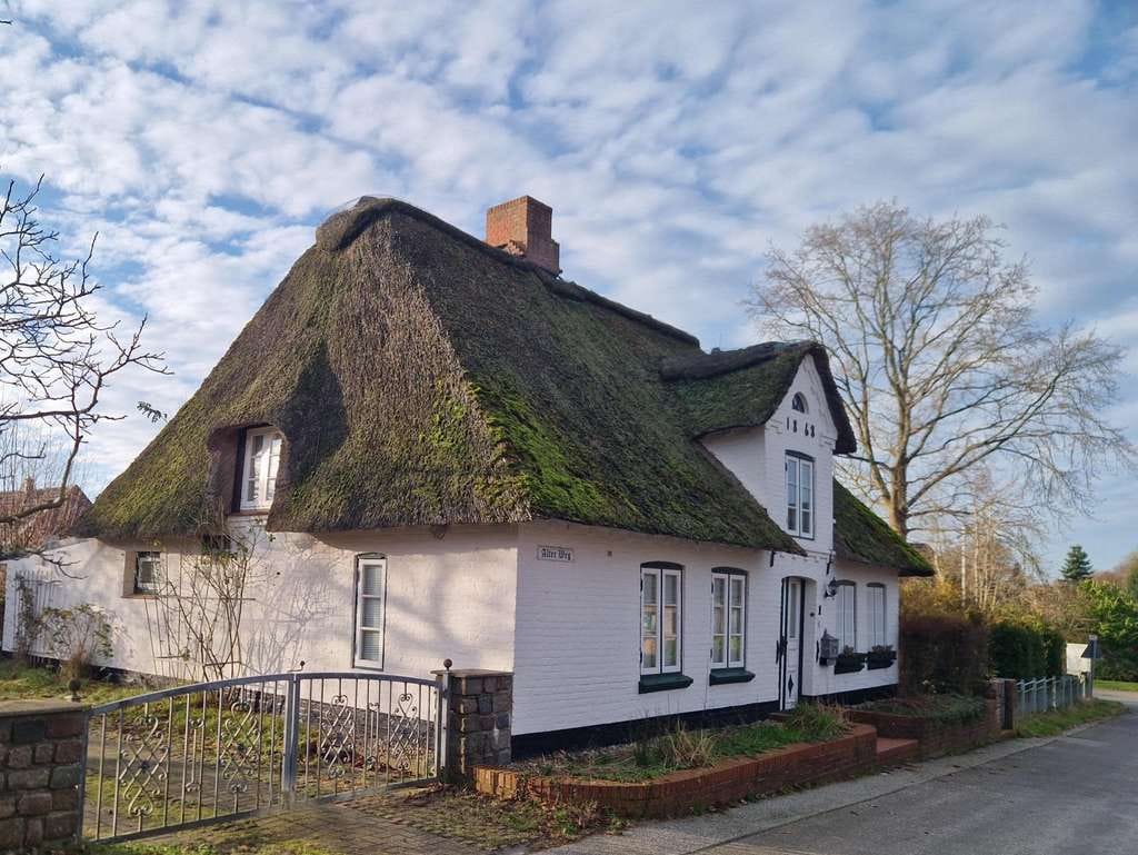 Immobilie in Mildstedt - Charmantes Reetdachhaus in zentraler Lage Mildstedts - Bild 3