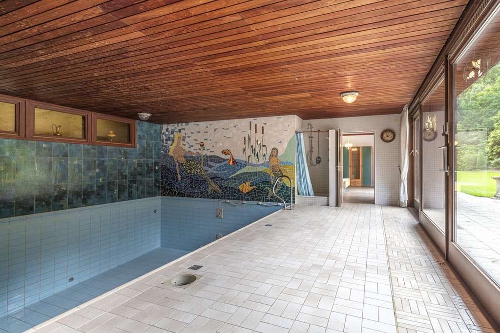 Immobilie in Elmenhorst - Waldidylle pur – mit Einliegerwohnung & Schwimmbad - Bild 2