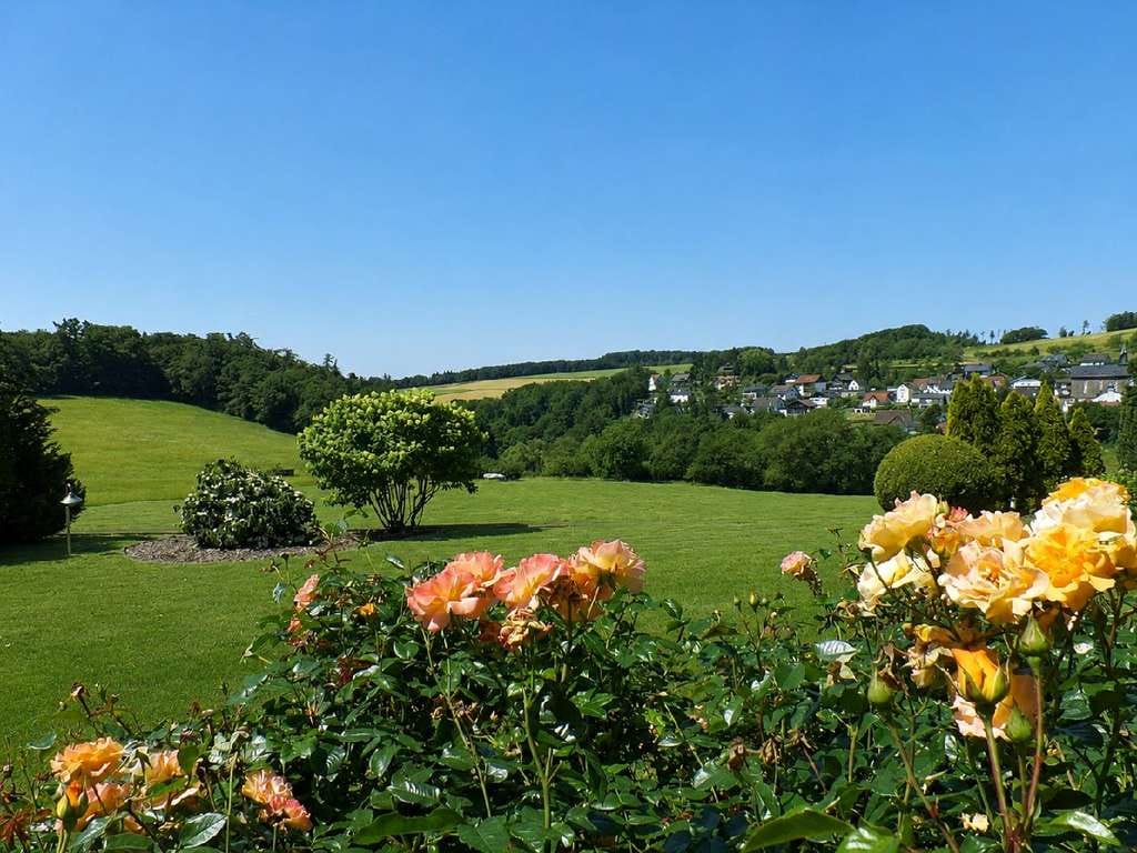 Immobilie in Waldems - Traumblick inklusive: Besondere Architektenvilla - Bild 1