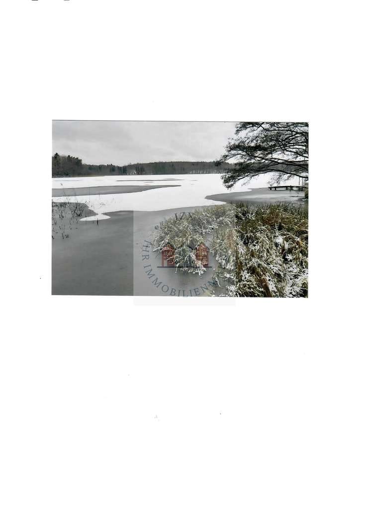 Immobilie in Müncheberg - Liebvolles gepflegtes Grundstück mit Bungalow am Klobichsee - Bild 4