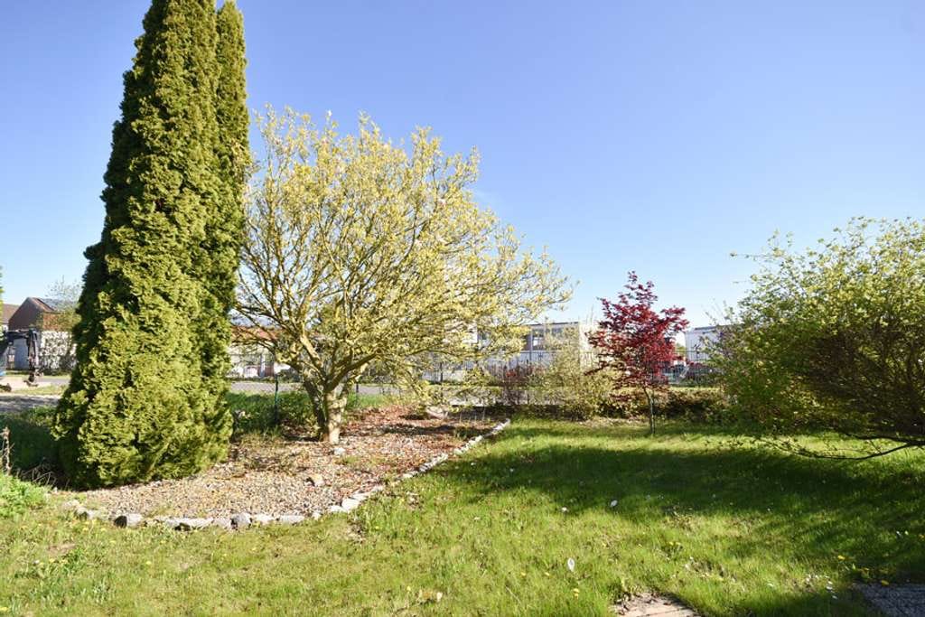 Immobilie in Denkte - Gemütliches 1-2-Familienhaus auf herrlichem Grundstück in Feldrandlage! - Bild 3