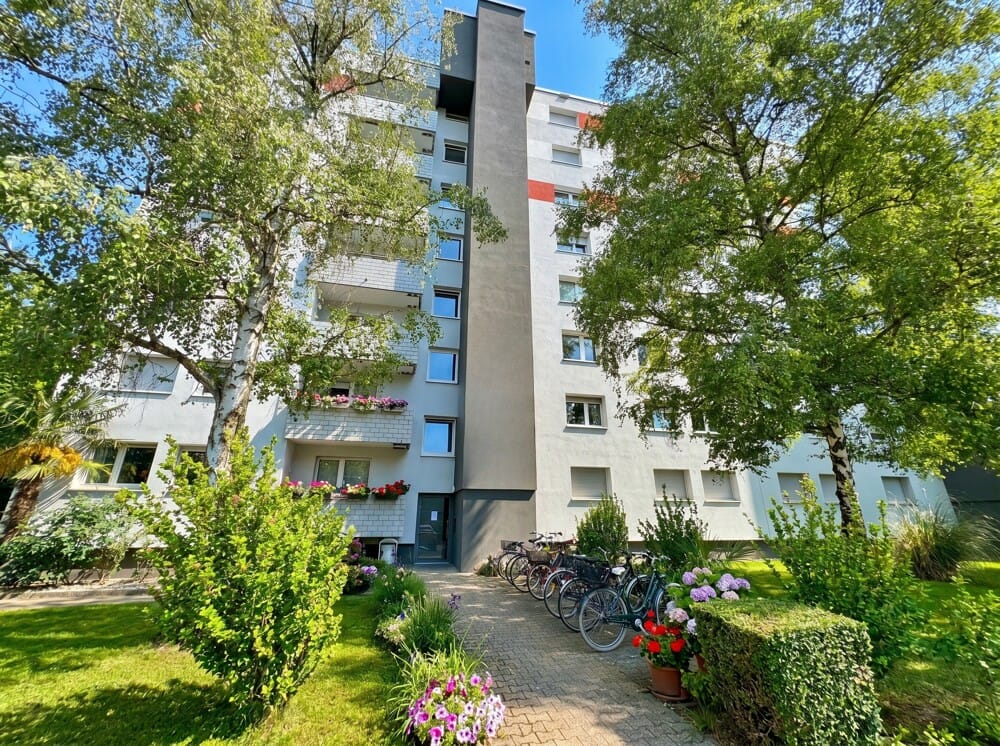 Immobilie in Frankenthal (Pfalz) - Gemütliches 1-Zimmer-Apartment in Frankenthal - Bild 0