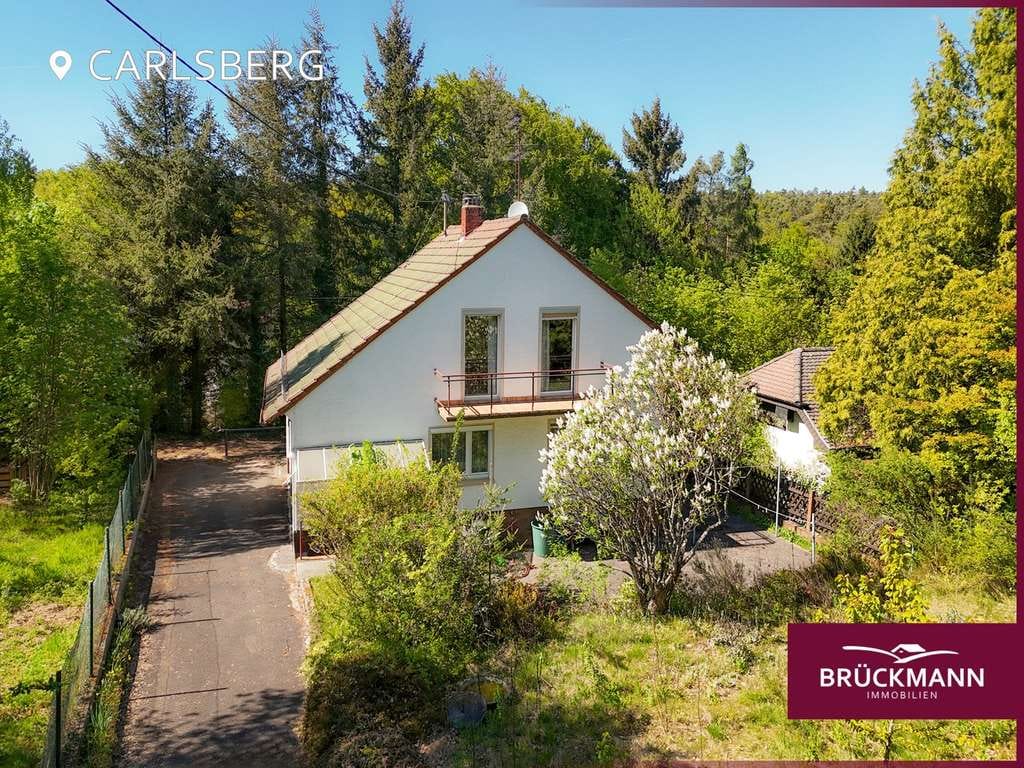 Immobilie in Carlsberg - Ankommen im Grünen: Ein Zuhause zwischen Waldlichtung und Familienalltag - Bild 0