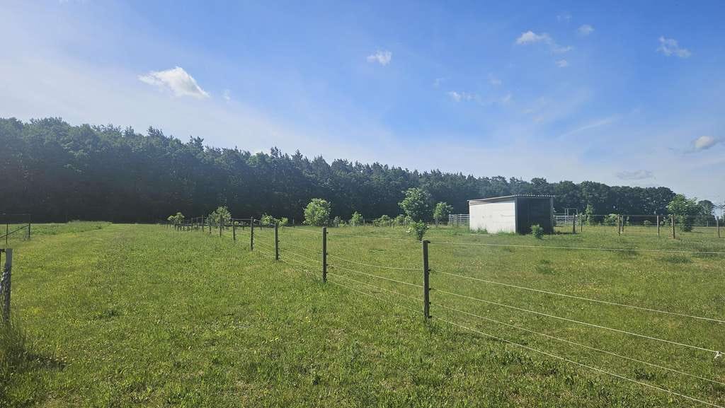 Immobilie in Karlsburg - Haus mit Pferdekoppel sucht Käufer - Bild 3