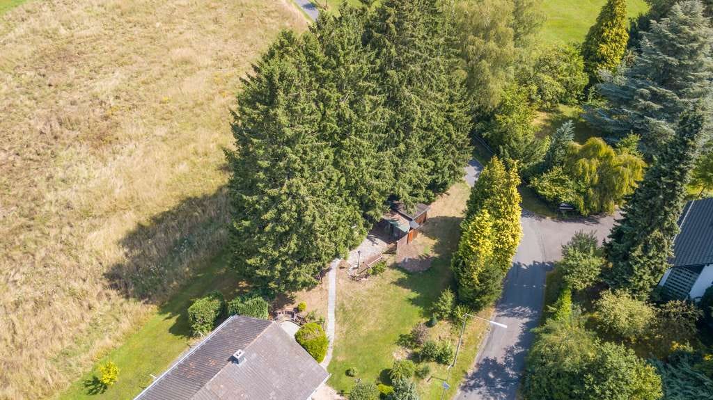 Immobilie in Mammelzen - Geräumiger Bungalow mit großem Grundstück und Doppelgarage am Ortsrand von Altenkirchen! - Bild 3