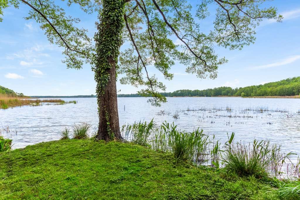 Immobilie in Am Mellensee - Rückzugsort mit Charakter – charmantes Anwesen mit Gästehaus nahe dem Mellensee - Bild 1
