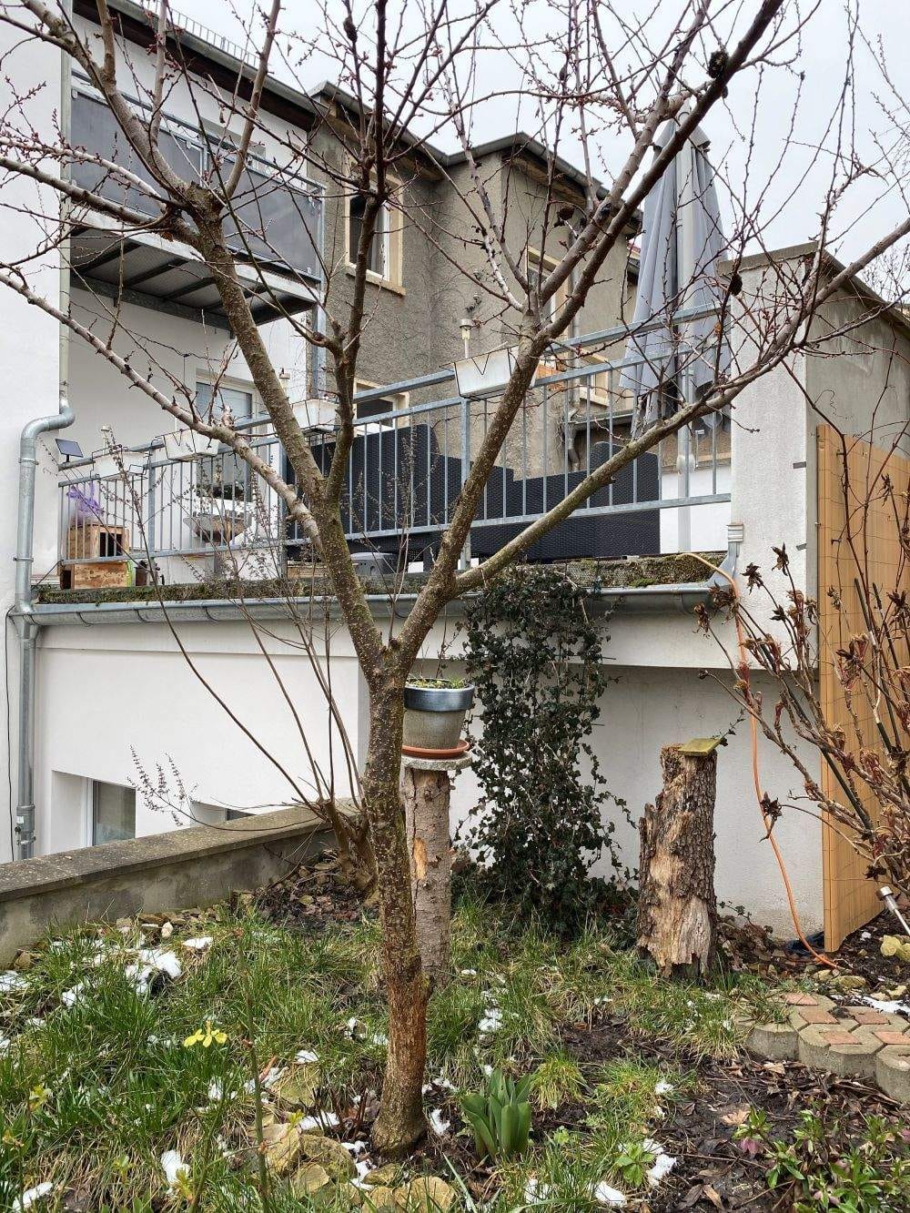 Immobilie in Gera - Kleines Mehrfamilienhaus in guter Lage - Bild 1