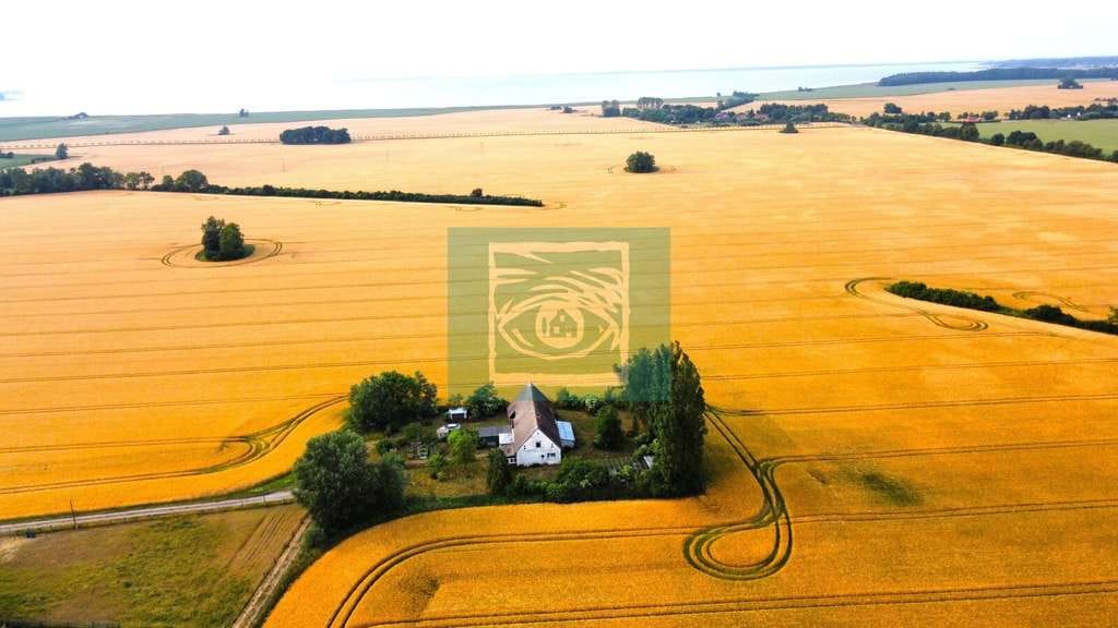Immobilie in Groß Kordshagen - Alleinlage garantiert! Traumhaftes Wohnen auf dem Land und den Barther Bodden in der Nachbarschaft! - Bild 2