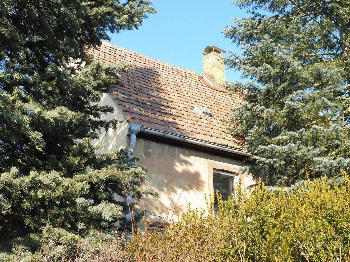 Immobilie in Belgern-Schildau - Ländliche Idylle in Nordsachsen - Bild 3