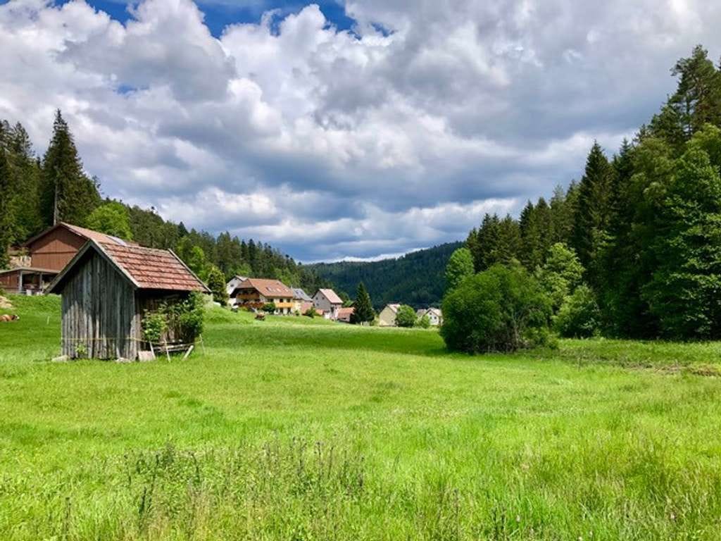 Immobilie in Enzklösterle - Ehemaliges Gästehaus mit traumhafter Lage am Bach – Ruhe und Natur pur - Bild 3