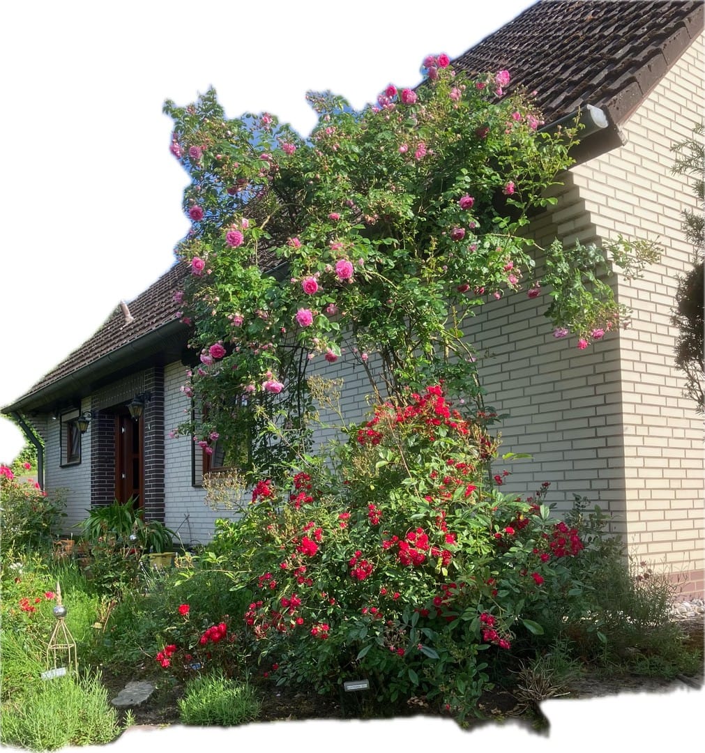 Immobilie in Tosterglope - Provisionsfrei: Einfamilienhaus in Ventschau - Bild 1