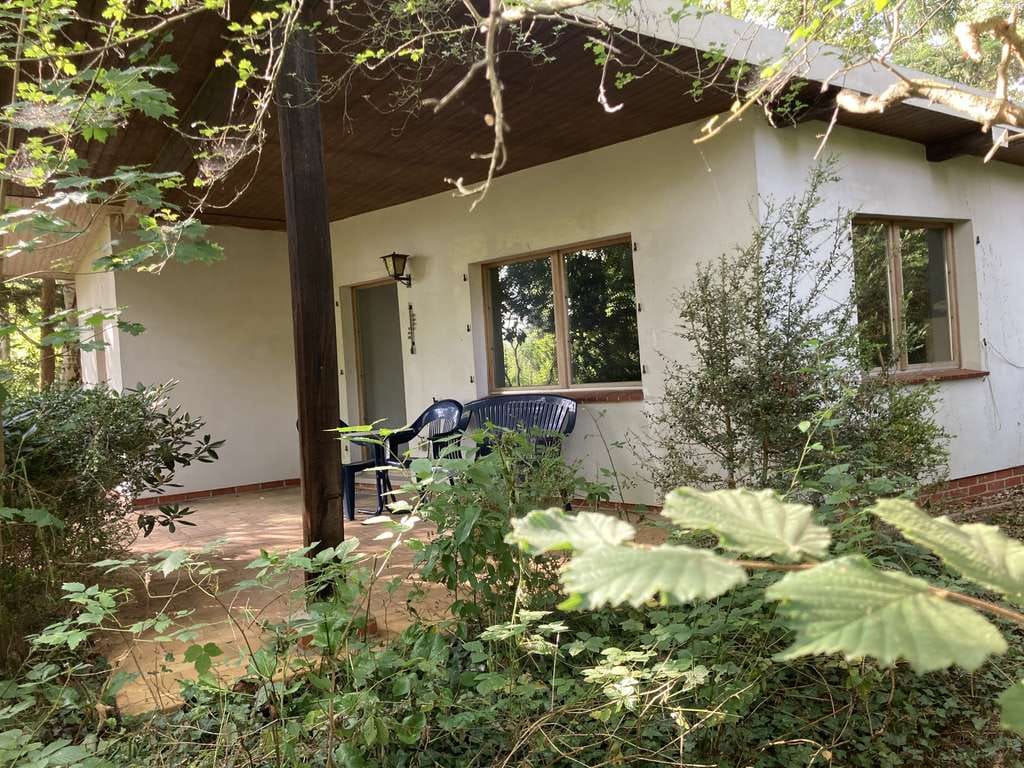 Immobilie in Neustadt am Rübenberge - Einzigartiges Waldgrundstück mit Wochenendhaus und Teichzugang – Ideal für Naturfreunde und Bastler - Bild 2