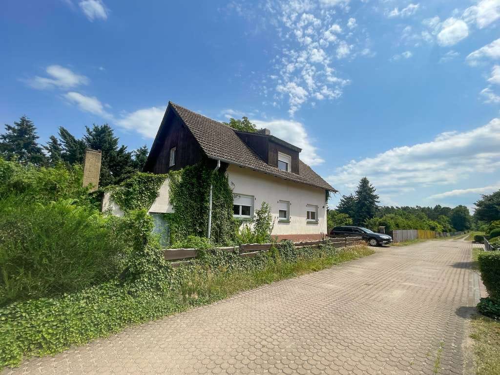 Immobilie in Schilda - Neuer Preis! Einfamilienhaus auf tollem Grundstück in Schilda - Bild 0
