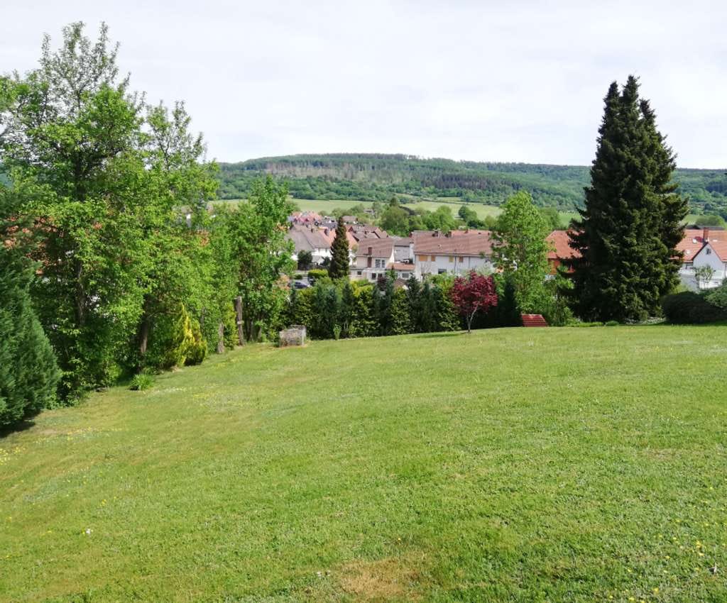 Immobilie in Großalmerode - Sie lieben Sonne und viel Licht? Dann ist dies Ihr energiesparendes Town & Country Haus in Grossa... - Bild 1