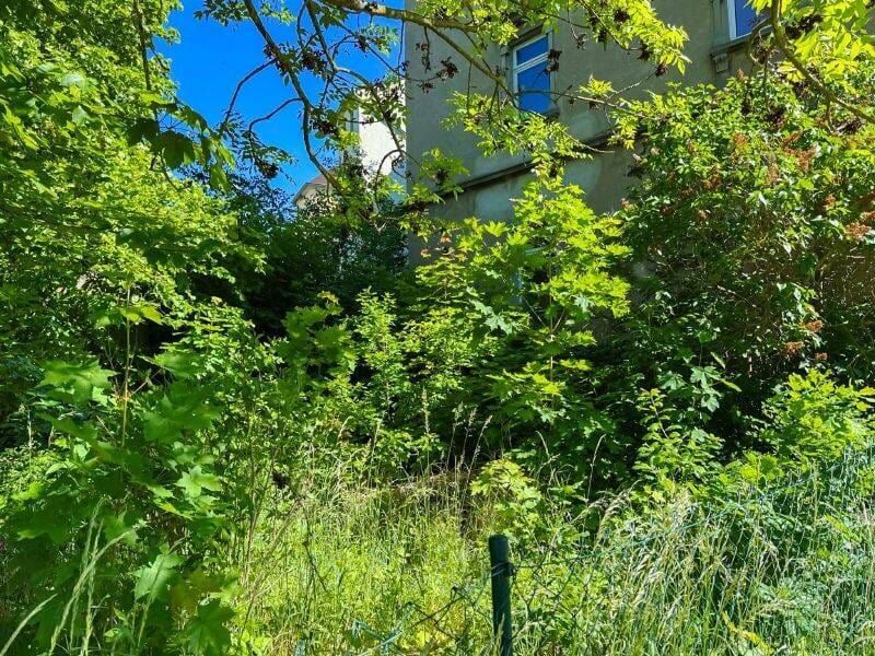 Immobilie in Waldheim - Verwirklichen Sie Ihre Ideen! - Bild 3