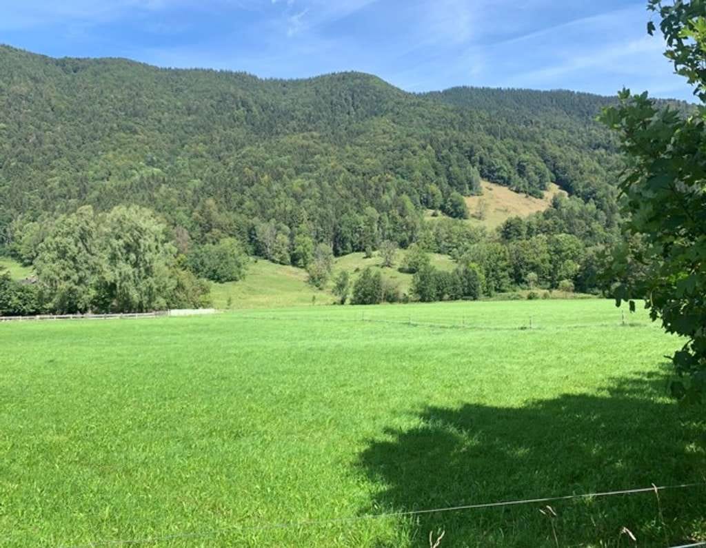 Immobilie in Rottach-Egern - Sonniges Grundstück mit einer Doppelhaushälfte in idyllischer Lage  direkt an der Rottach - Bild 2