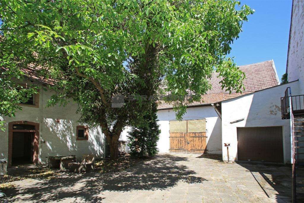 Immobilie in Bobenheim-Roxheim - Vielseitiges Mehrfamilienhaus mit großem Grundstück und Ausbaupotenzial - Bild 2
