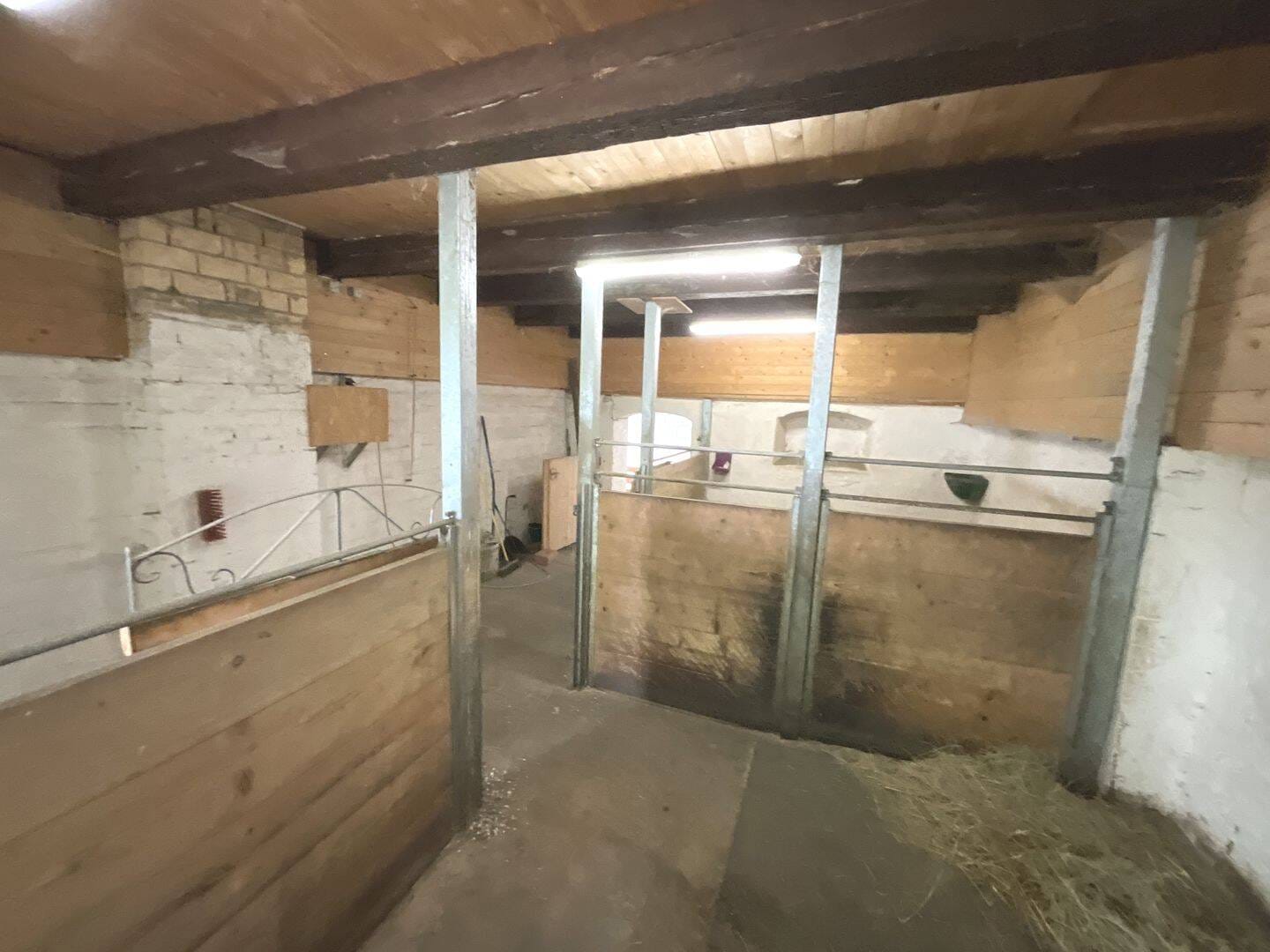 Immobilie in Homberg - Bauernhaus bei Homberg/Efze: 260 m² Wohnfläche, Scheune und Stallungen warten auf Sie! - Bild 4
