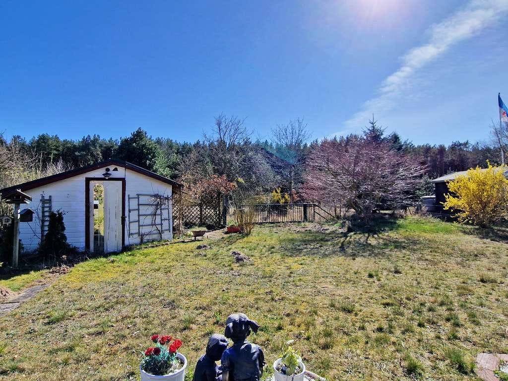 Immobilie in Zempin - Einfamilienhaus mit Blick ins Grüne und großzügigem Grundstück im Seebad Zempin - Bild 3