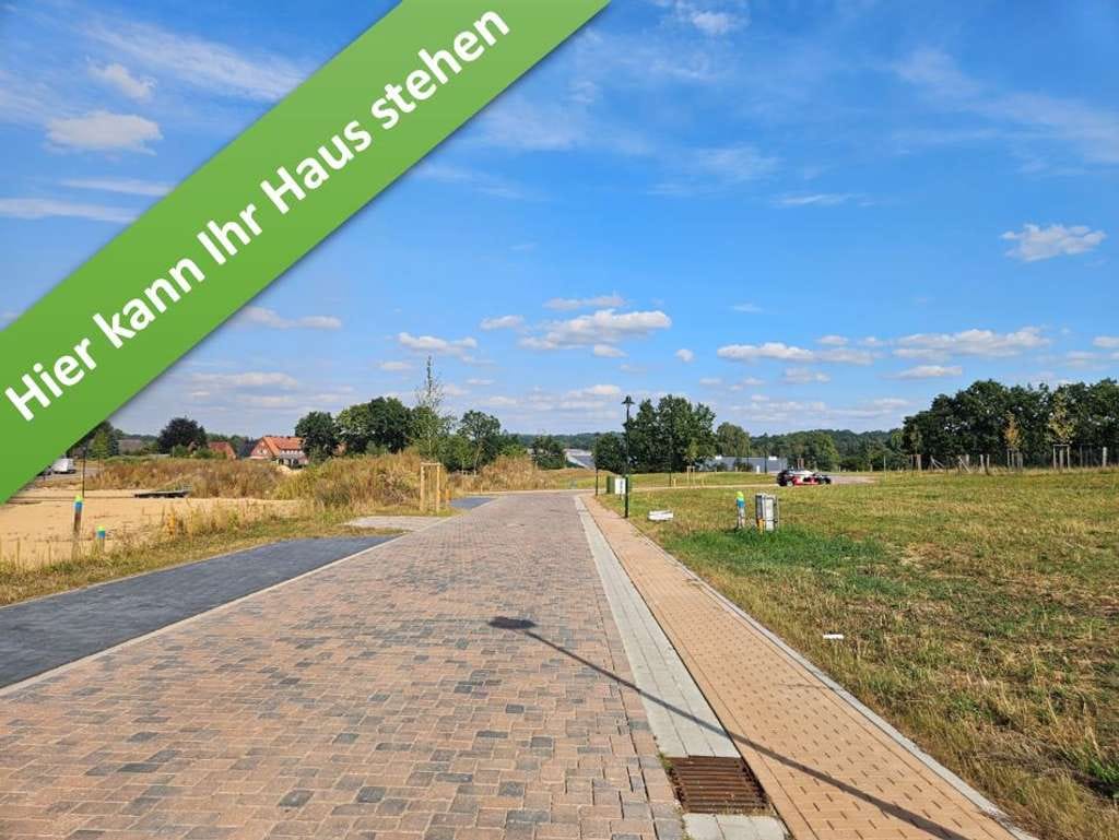 Immobilie in Bispingen - Nicht nur wohnen, sondern leben. Ihre Stadtvilla in Bispingen. - Bild 1