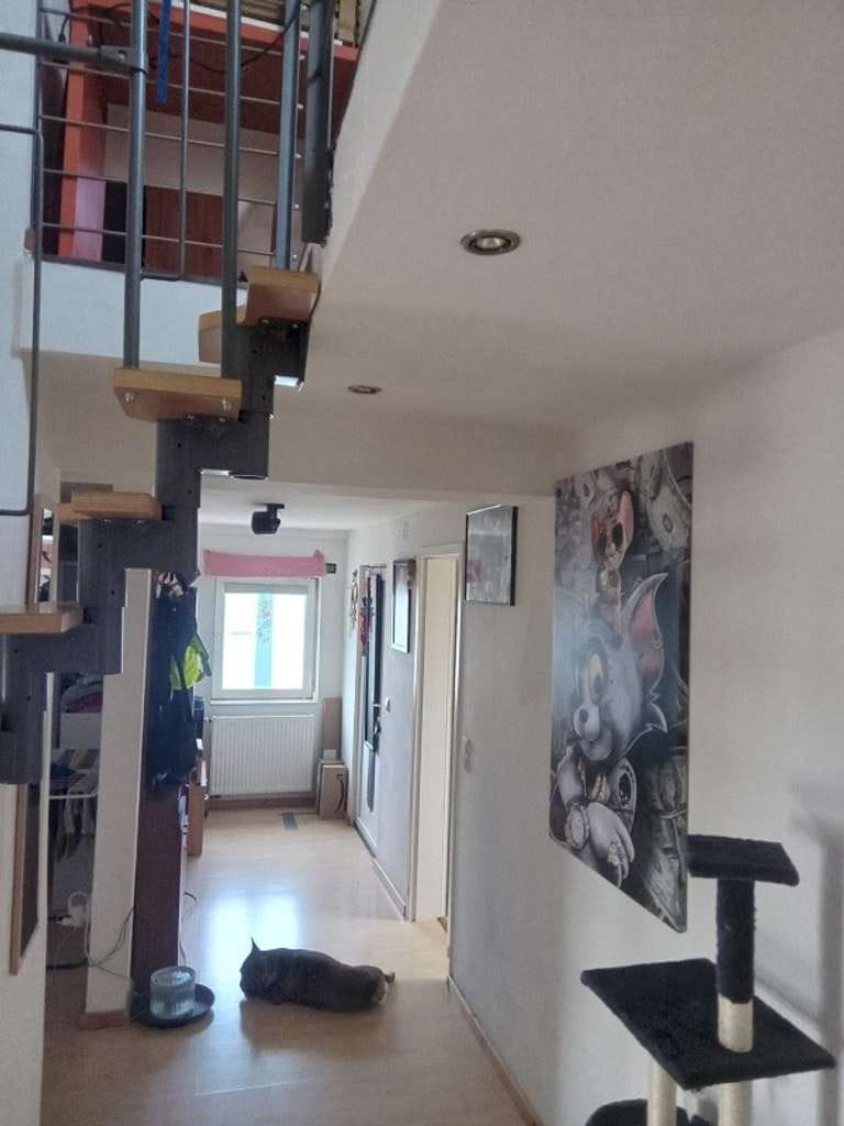 Immobilie in Frankenthal (Pfalz) - Charmante 3,5-Zimmer-Galeriewohnung in Frankenthal - Bild 3