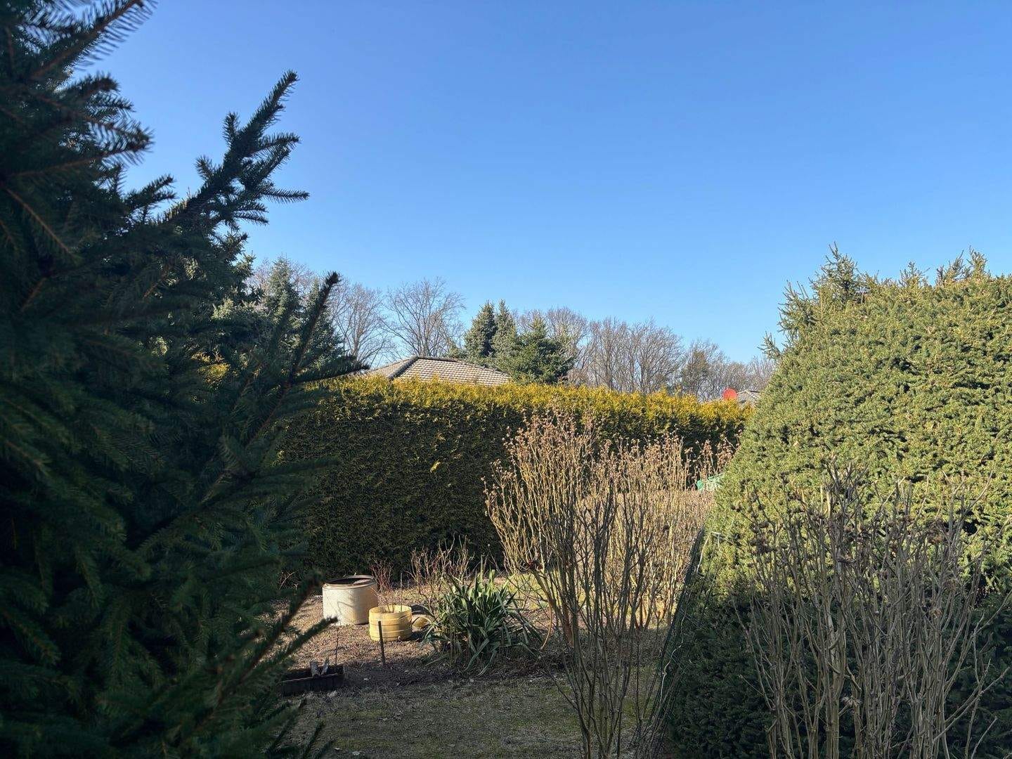 Immobilie in Coswig (Anhalt) - Bungalow in grüner und waldreicher Wohnlage !! - Bild 3