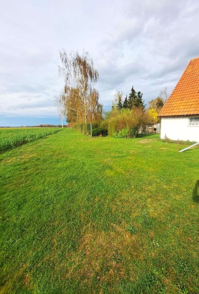 Immobilie in Butzow - Günstiges, charmantes freistehendes Einfamilienhaus auf dem Land - Bild 1