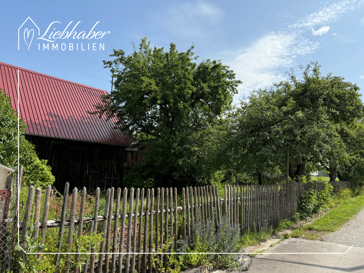 Immobilie in Burgau - Viel Platz für Familie, Handwerk und Ideen - vielseitiges Wohnhaus mit Werkstatt, Stadel und Potenzial - Bild 3