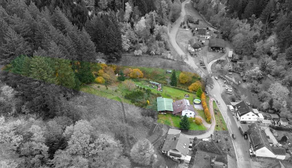 Immobilie in Sulzburg - Einfamilienhaus 
zwischen Grün- und Waldfläche
Großzügig  - Grün - Gestaltbar - Bild 2