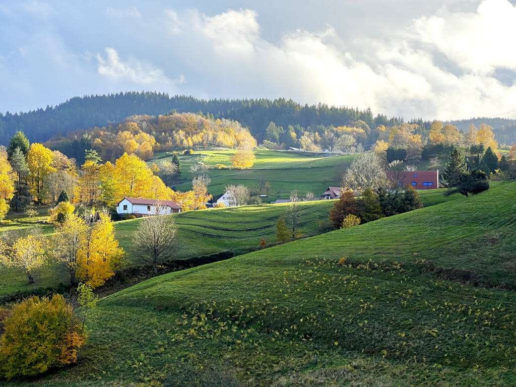 Immobilie in Bühlertal - Großzügiges Zwei-/Dreifamilienhaus mit großer Doppelgarage in äußerst bevorzugter Panoramawohn - Bild 0