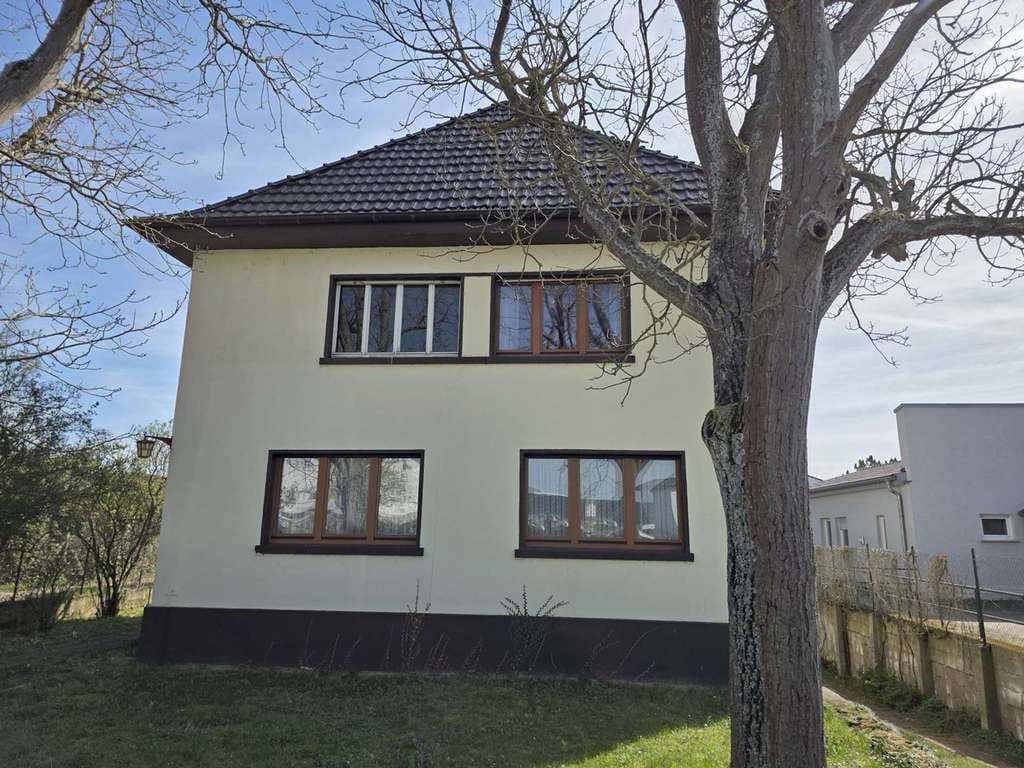 Immobilie in Gensingen - Gensingen - Einfamilienhaus mit potential auf großem Grundstück! - Bild 1