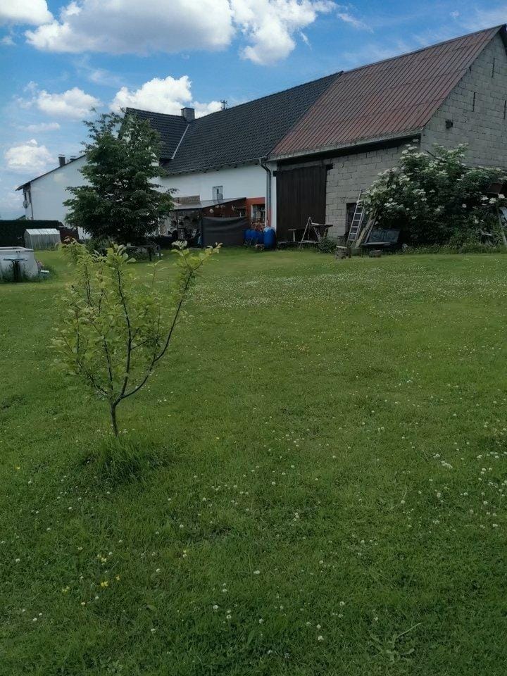 Immobilie in Nauroth - Einfamilienhaus freistehend in Nauroth - Bild 2