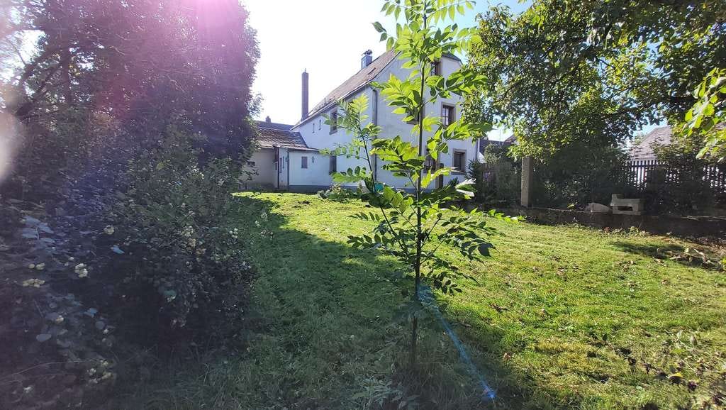 Immobilie in Marktleugast - Landhaus, vielseitig nutzbar, 380 qm Wohn- und Nutzfläche,  für große Familien oder Gruppen - Bild 4