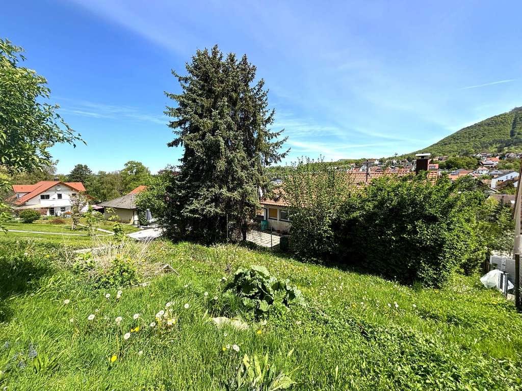 Immobilie in Neuffen - Einfamilienhaus mit zwei Flurstücken - Bild 3