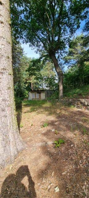 Immobilie in Bad Schmiedeberg - Wochendgrundstück in der Dübener Heide zu verkaufen - Bild 1