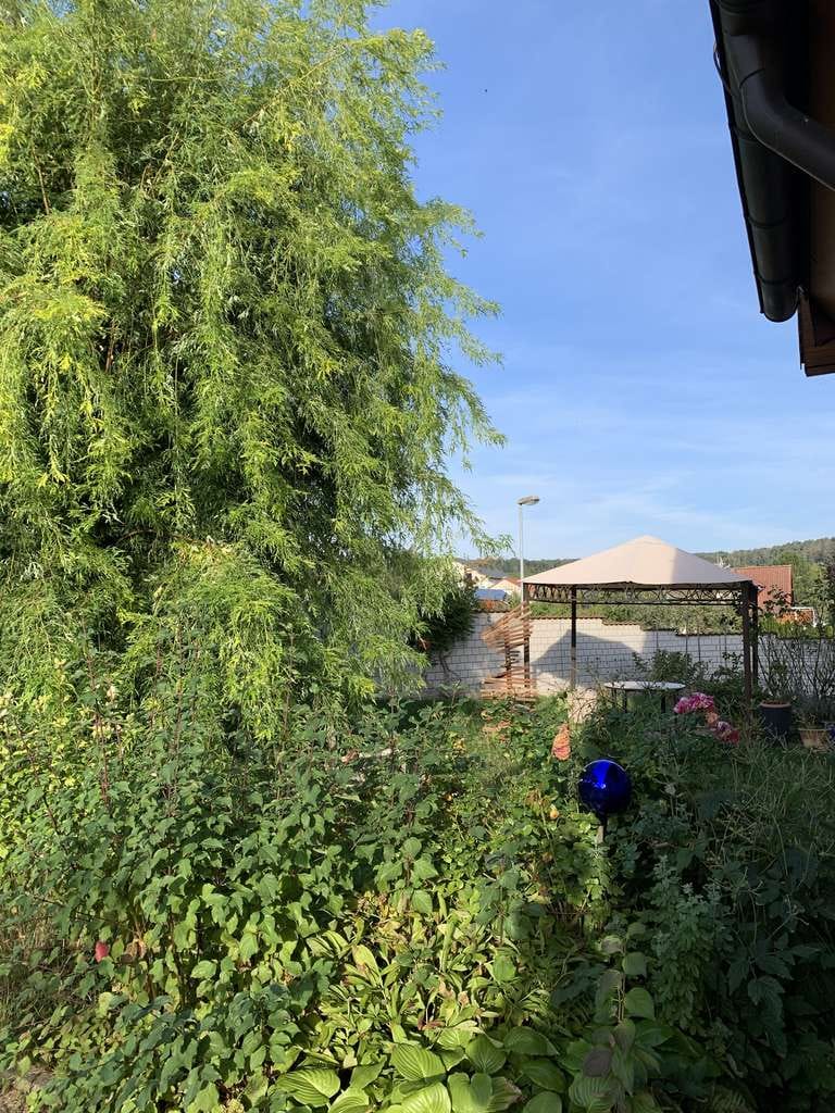 Immobilie in Eberstadt - Wohnen mit Charakter: Großzügiges Haus in Eberstadt - Bild 1