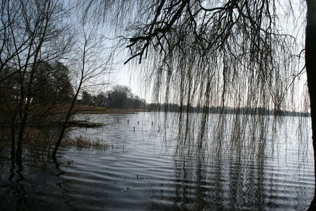 Immobilie in Bordesholm - IN 2 MINUTEN AM BORDESHOLMER SEE !! (RÖMBKE IMMOBILIEN KG) - Bild 4