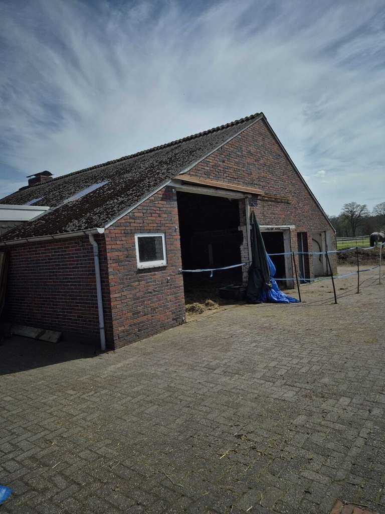Immobilie in Uplengen - Hofgebäude für Pferdeliebhaber in Uplengen-Neufirrel - Bild 1
