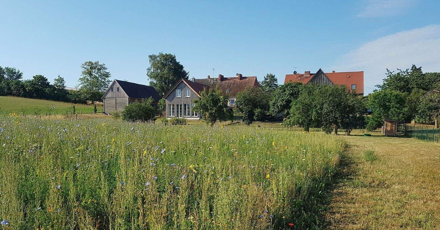 Immobilie in Boitzenburger Land - Uckermark - Idyllisches Immobilienensemble mit Seezugang  - Bild 1